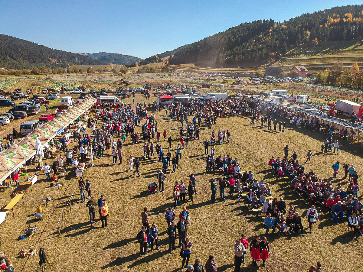 Pogány-Havas Kistérségi Társulás/fb